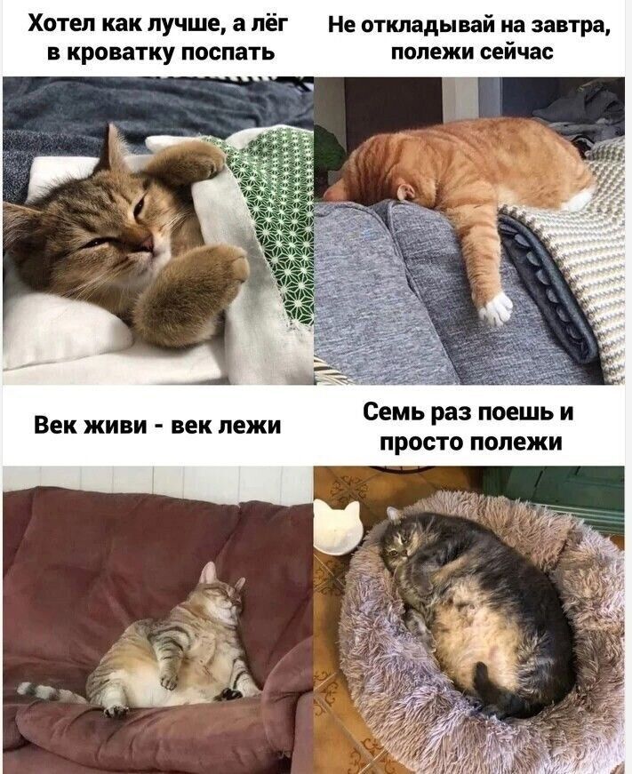 Хотел как лучше а лёг Не откладывай на завтра в кроватку поспать попежи сейчас Семь раз поешь и просто попежи Век живи век пежи