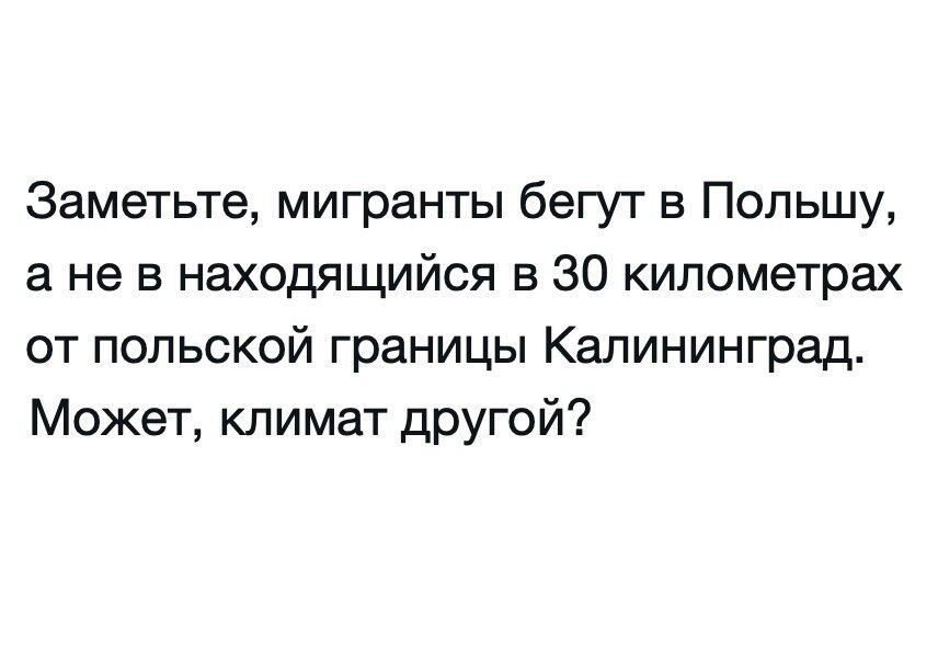 Заметьте мигранты бегут в Польшу а не в находящийся в 30 километрах от польской границы Калининград Может климат другой