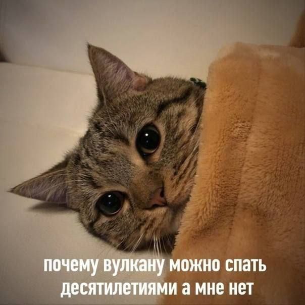 И а МНЕ НЕТ