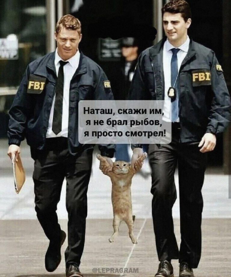Наташ скажи им я не брал рыбов я просто смотрел
