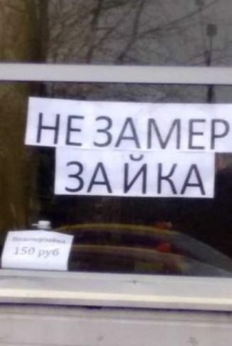 НЕ ЗАМЕР ЗАИКА