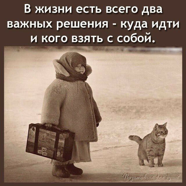 В жизни есть всего два важных решения куда Идти и кого взять с собой м _ _