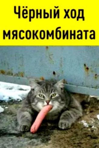 Чёрный ход мясокомбината