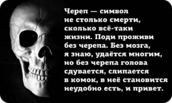 Череп символ не столько смерти сколько всё таки жизни Поди проживи без черепа Бе мозга и знаю удаётся многим но без черепа голова сдувается слипается комок в неё становится неудобно есть и привет і