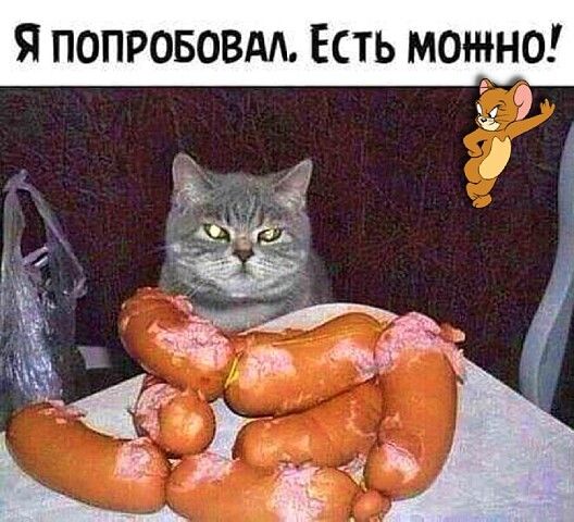 Я попрововм Есть можно