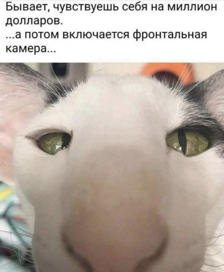 Бывает чувствуешь себя на миллион долларов а потом включается фронтальная камера