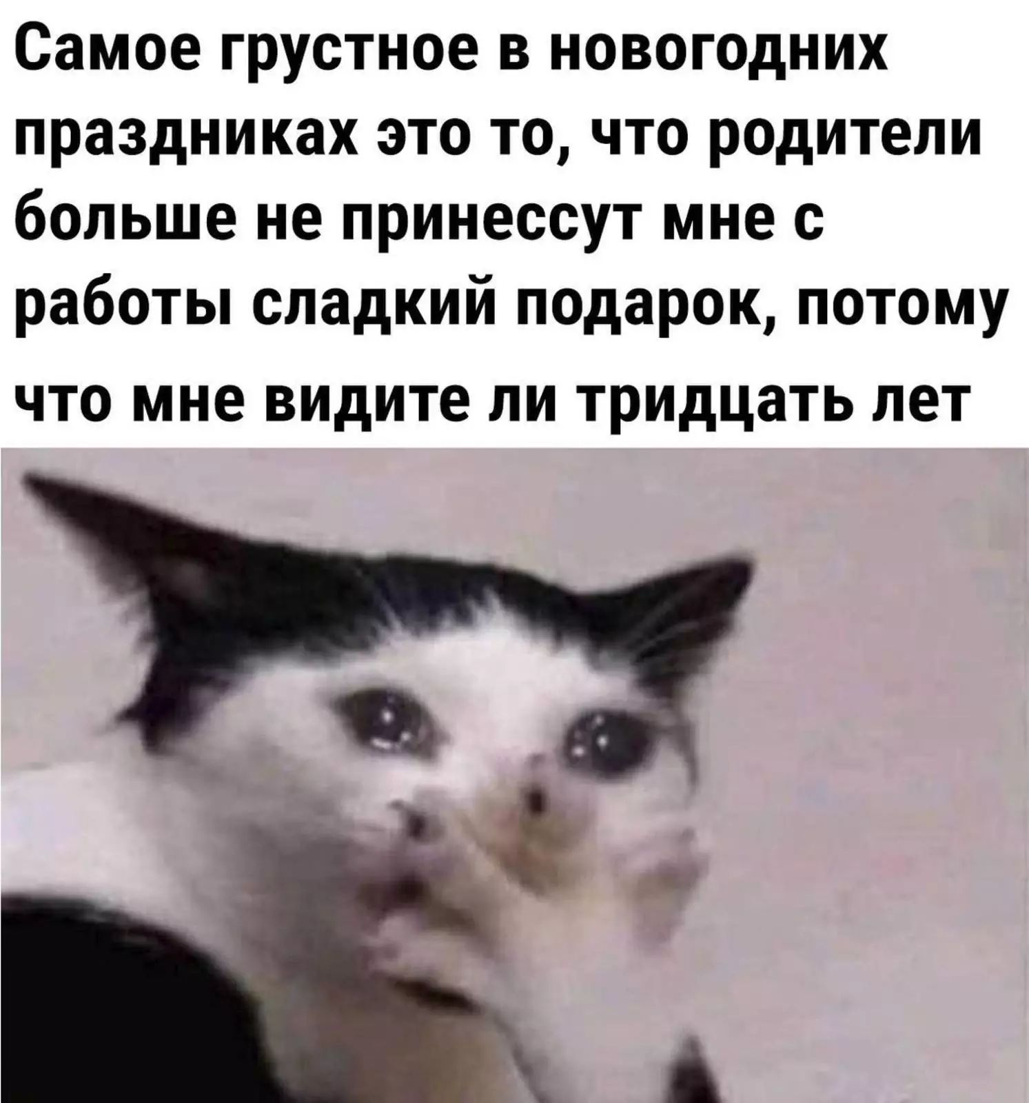 Самое грустное в новогодних праздниках это то что р0дители больше не принессут мне с работы сладкий подарок потому ЧТО МНЕ видите ЛИ ТРИДЦЗТЬ ПЭТ