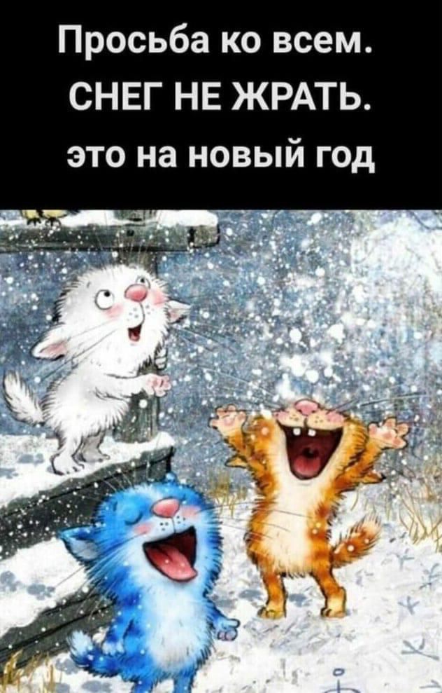 Просьба ко всем СНЕГ НЕ ЖРАТЬ это на новый год