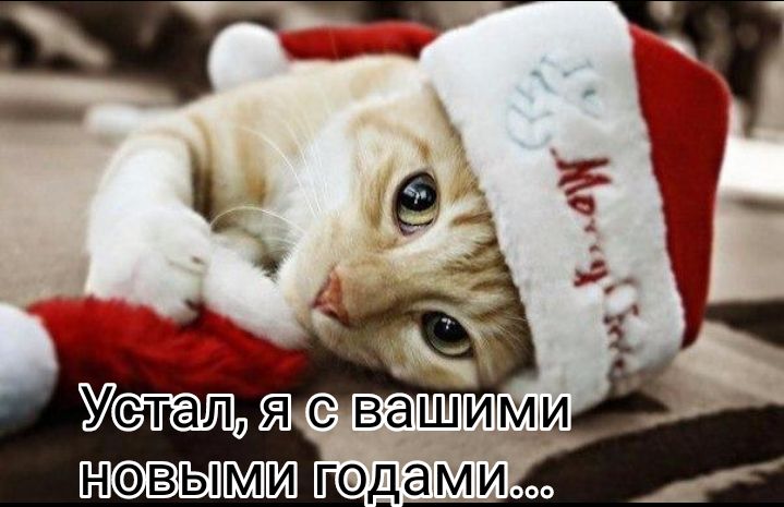 НВЫ ГОДЭМИ