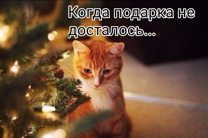Нтдап дика столом А