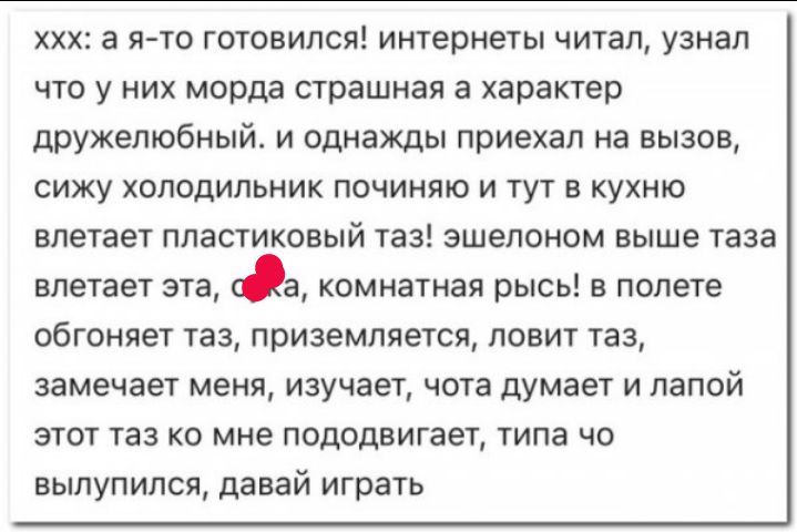 ххх а я то готовился интернеты читал узнал что у них морда страшная а характер дружелюбный и однажды приехал на вызов сижу холодильник починяю и тут в кухню влетает пластиковый таз эшелоном выше таза влетает эта а комнатная рысь в полете обгоняет таз приземляется ловит таз замечает меня изучает чота думает и лапой этот таз ко мне пододвигает типа чо вылупился давай играть