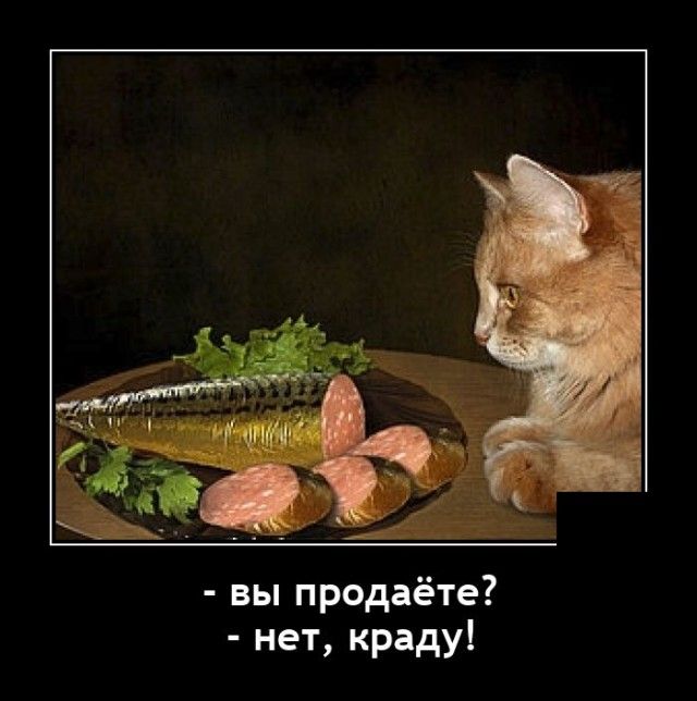 вы продаёте нет краду