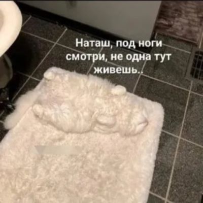 Наташ под ноги смотри не одна тут живешь