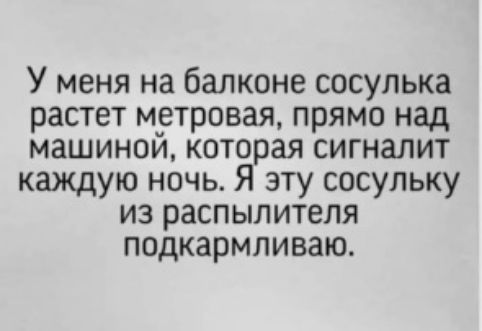 У меня на балконе сосулька растет миетровая прямо над машинои которая сигналит каждую ночь Я эту сосульку из распылителя подкармливаю