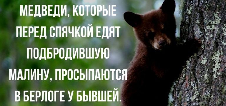 щдВЕДИ ПЕРЕД ВПН ППДБРОПИВШУЮ МАЛИНУ ПРПСЫМ ЕБЕРЛПГЕ У БЫВШ