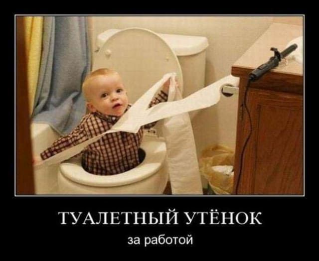ТУАЛЕТНЫЙ УТЁНОК за работой