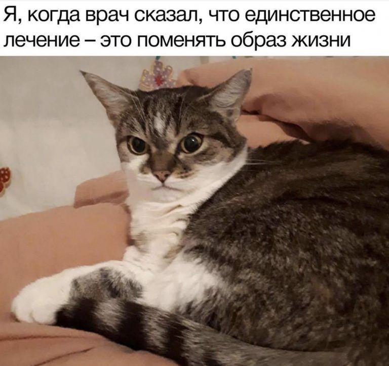 Я когда врач сказал что единственное лечение это поменять образ жизни