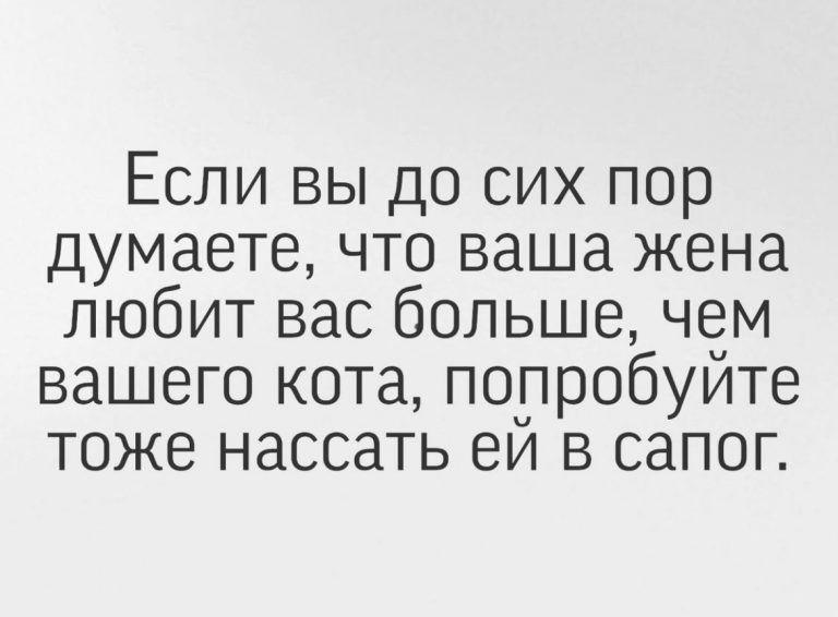 Если вы до сих пор думаете что ваша жена любит вас больше чем вашего кота попробуйте тоже насоать ей в сапог