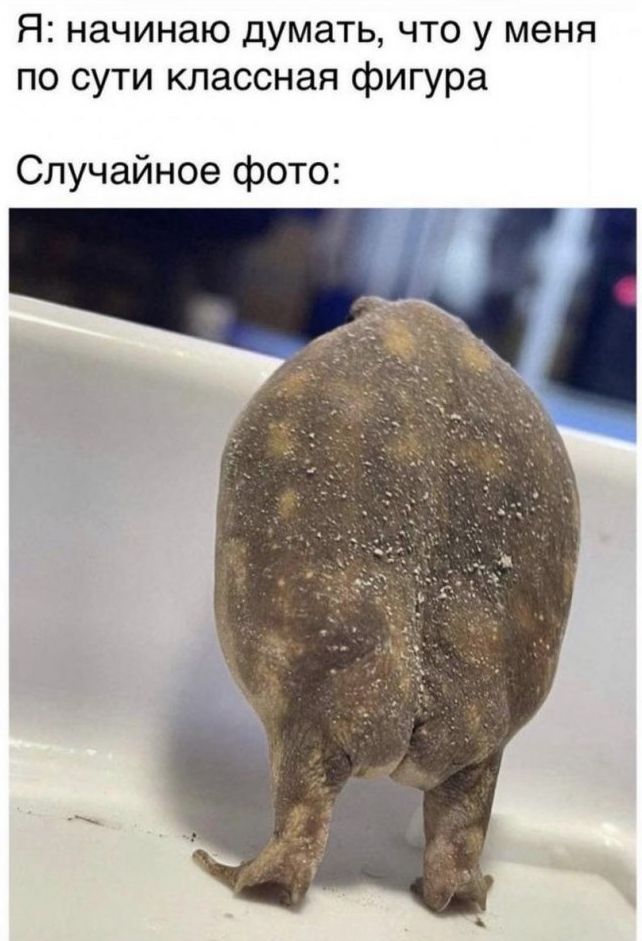 Я начинаю думать что у меня по сути классная фигура Случайное фото