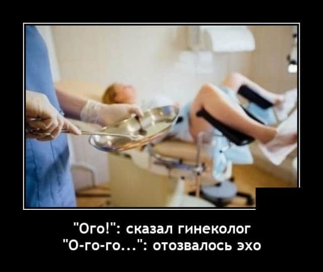 Ого сказал гинеколог О го го отозвалось эхо