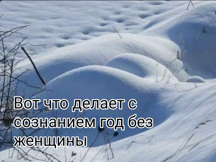 т гюпдбп