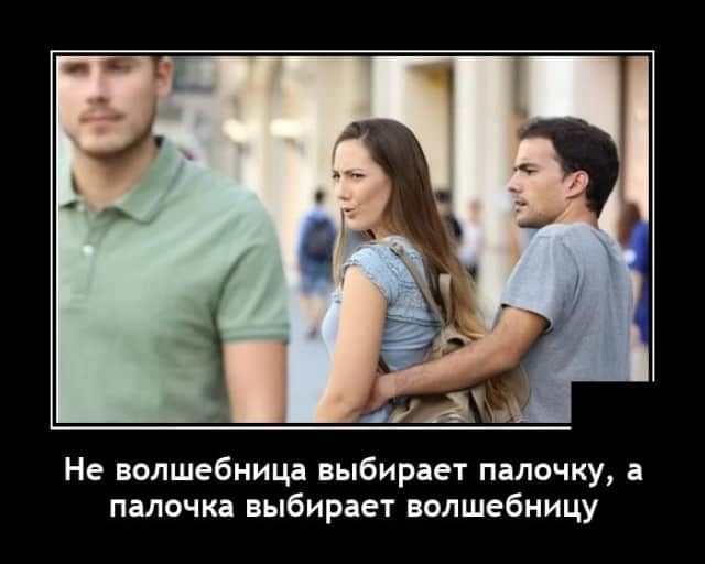 Не волшебница выбирает палочку а палочка выбирает волшебницу