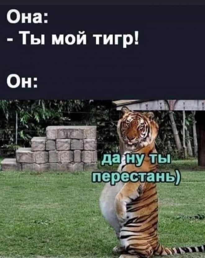 Она Ты мой тигр