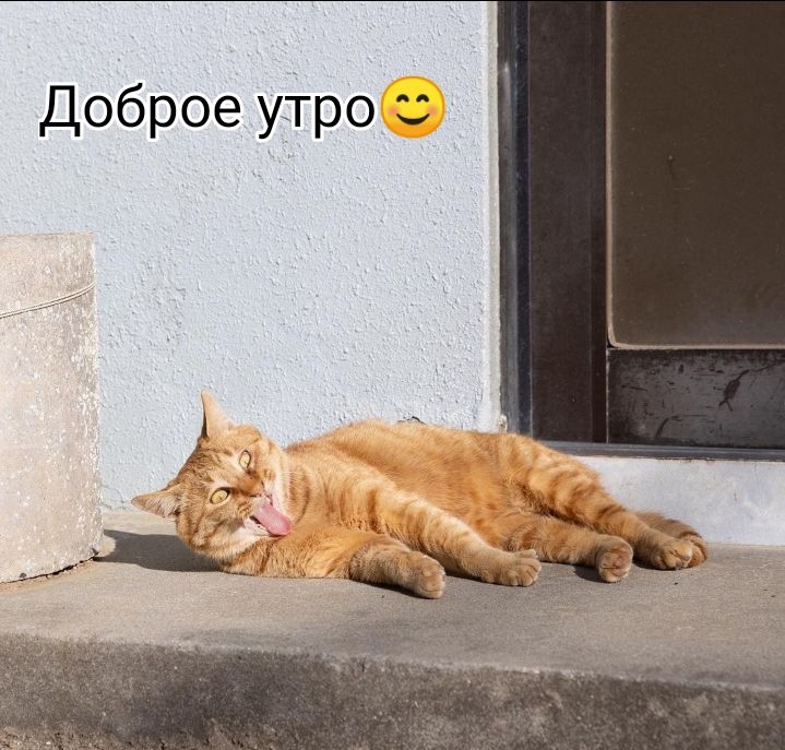 Доброе утро  у