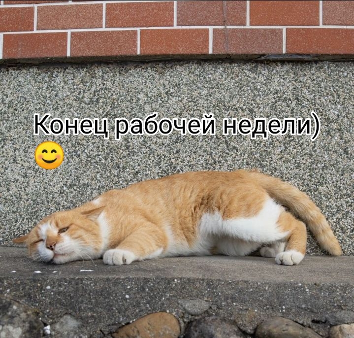 уиКі Окі окігаКицк