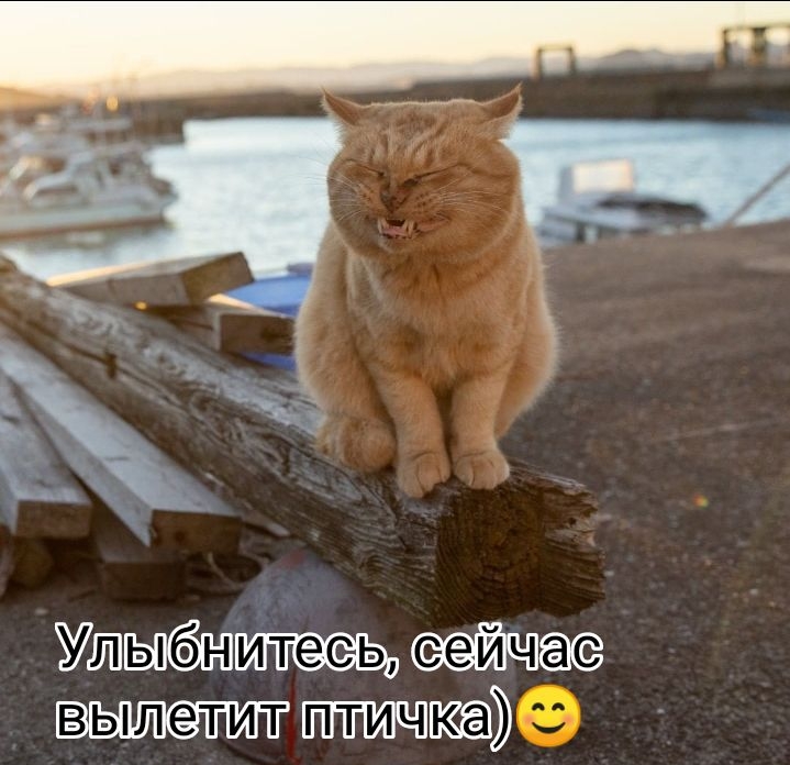 У 9