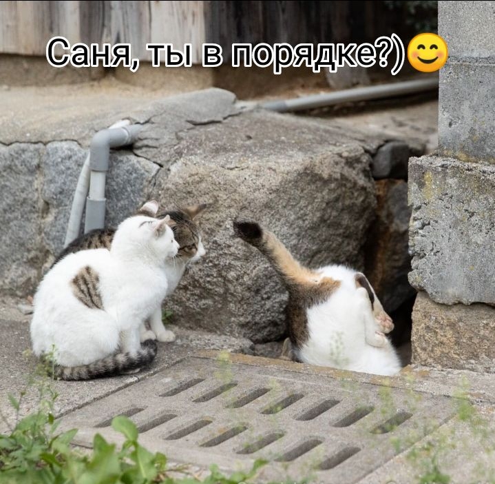 '  оег ралме поряудке?