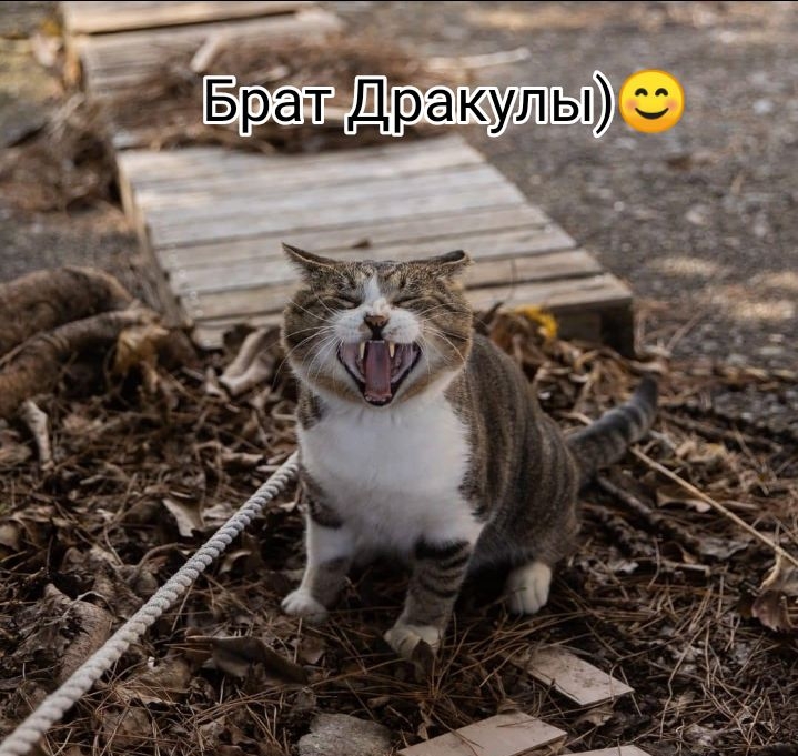 т 5  х 5  с е ё