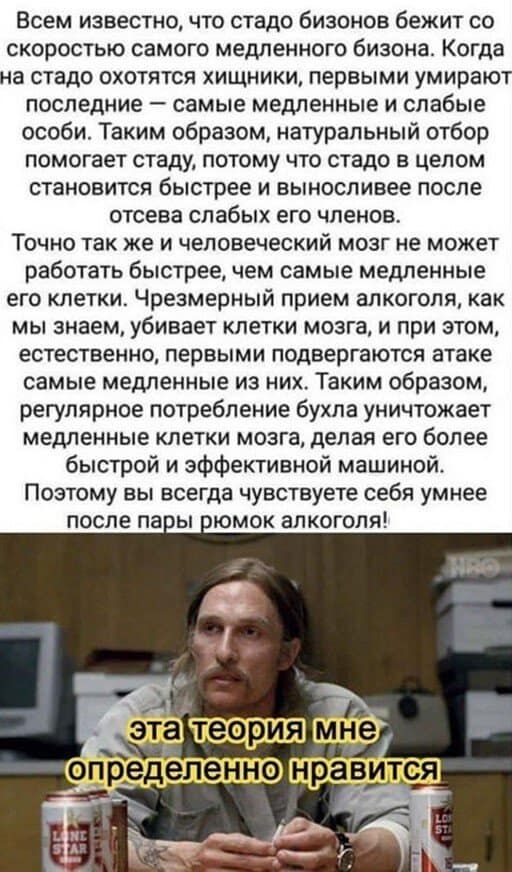 Всем известно, что стадо бизонов бежит со скоростью самого медленного бизона. Когда на стадо охотятся хищники, первыми умирают последние  самые медленные и слабые особи. Таким образом, натуральный отбор помогает стаду, потому что стадо в целом становится быстрее и выносливее после отсева слабых его членов. Точно так же и человеческий мозг не может работать быстрее, чем самые медленные его клетки. Чрезмерный прием алкоголя, как мы знаем, убивает клетки мозга, и при этом, естественно, первыми подвергаются атаке самые медленные из них. Таким образом, регулярное потребление бухла уничтожает медленные клетки мозга, делая его более быстрой и эффективной машиной. Поэтому вы всегда чувствуете себя умнее после пары рюмок алкоголя!
