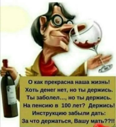 Хоть денег нет, но ты держись. Ты заболел..., но ты держись. На пенсию в 100 лет? Держись! Инструкцию забыли дать: за что держаться, вашу мать??!!