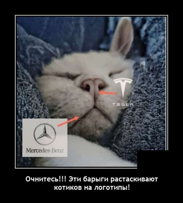 Очнитесь Эти барыги растаскивают котиков на логотипы