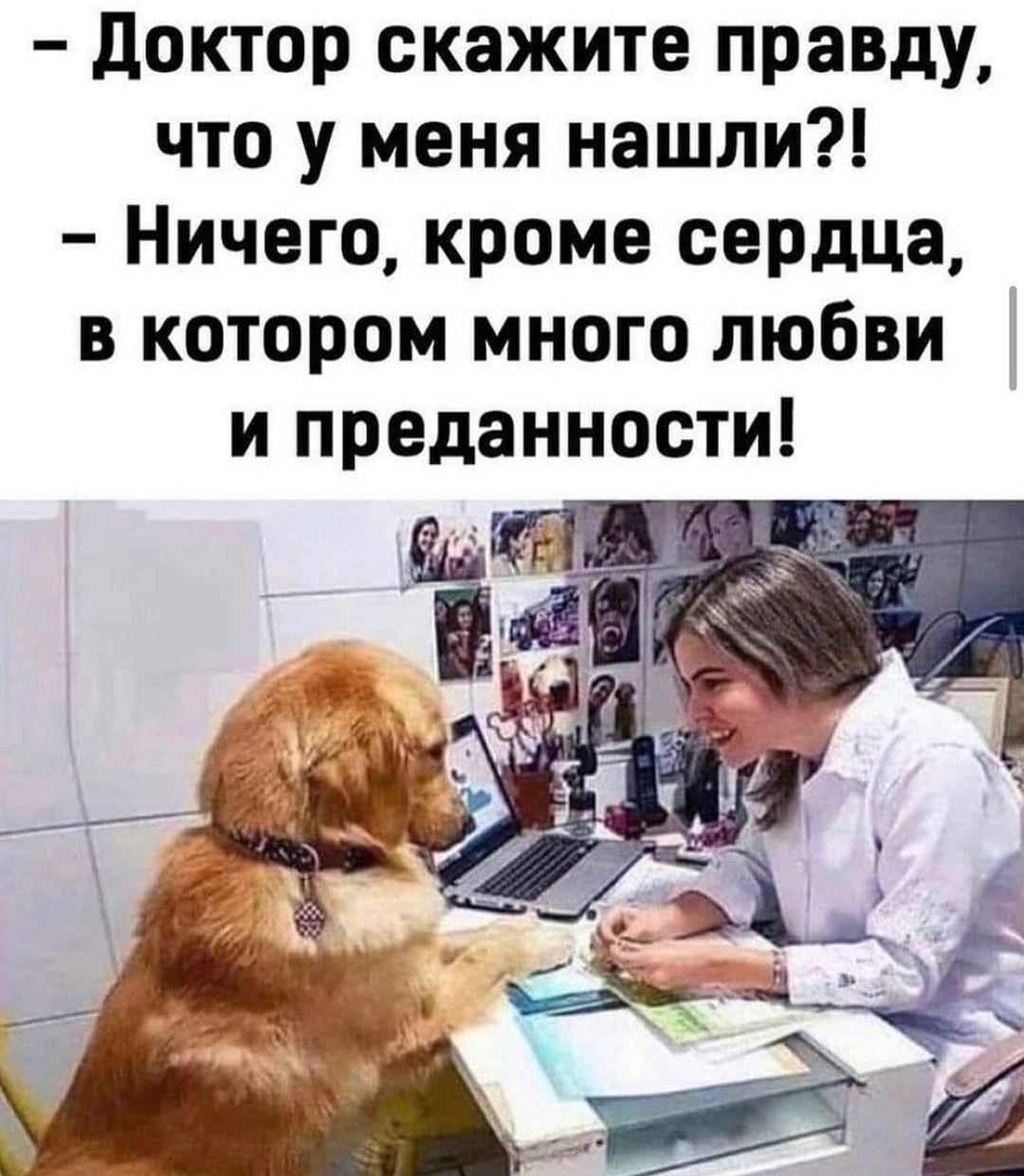 доктор скажите правду, что у меня нашли?!  Ничего, кроме сердца, в котором много любви и преданности!