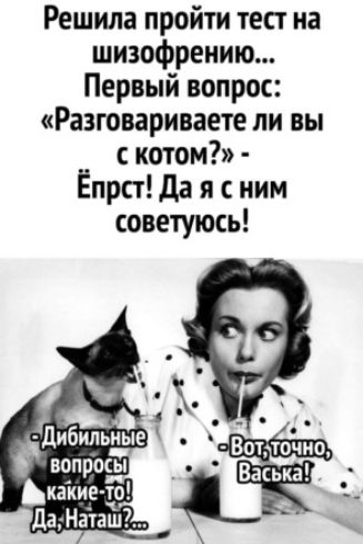 Решила пройти тест на шизофрению... Первый вопрос: «разговариваете ли вы с котом?»  ёпрст! Да я с ним советуюсь!
