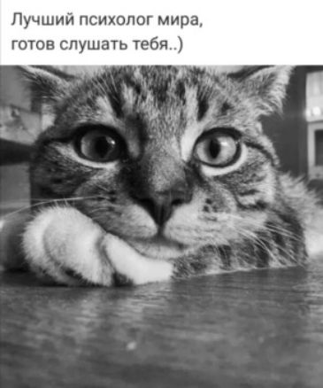Лучший психолог мира готов слушать тебя