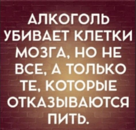 АЛКОГОЛЬ УБИВАЕТ КЛЕТКИ МОЗГА НО НЕ ВСЕ А ТОЛЬКО ТЕ КОТОРЫЕ ОТКАЗЫВАЮТСЯ ПИТЬ