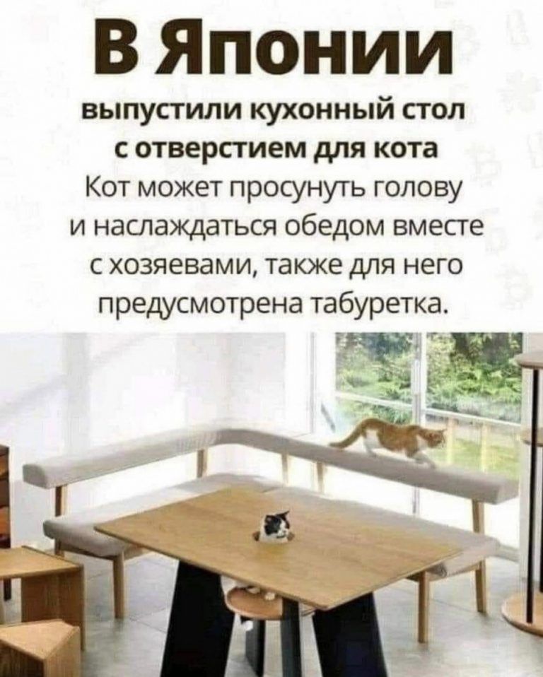 Стол для кота япония