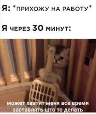 Я прихожу НА РАБОТУ Я через 30 минут может ХЮТИТ меня ВСЕ время ЗТЬ ШТО ТО делать