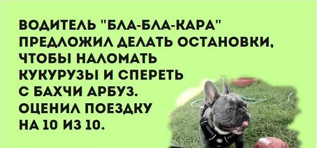 ВОАИТЕАЬ БАА БМ КАРА ПРЕМОЖИА АЕМТЬ ОСТАНОВКИ ЧТОБЫ НМОНАТЬ КУКУРУЗЫ И СПЕРЕТЬ С БАХЧИ АРБУЗ ОЦЕНИА ПОЕЗАКУ НА 10 ИЗ 10