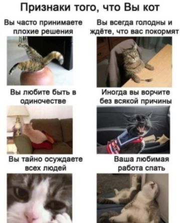 Признаки тою что Вы кот Вы чот приник вп вы воощ юпошш и плит вещания цдвгв что и покорит ЖТ Вы любите ешь Июгдя ш порции без всякой причин 1 Вы т йии кушаю Виш пюбииц всех людей работ сть
