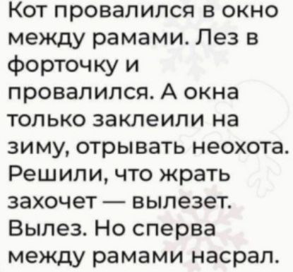 Кот провалился в окно между рамами Лез в форточку и провалился А окна только заклеили на зиму отрывать неохота Решили что жрать захочет вылезет Вылез Но сперва между рамами насрал