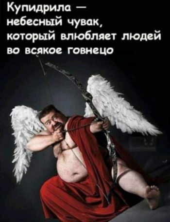 Купидрила небесный чувак каторый влюбляет людей во всякое говнецо