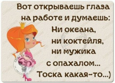 Вот открываешь глаза на работе и думаешь Ни океана ни коктейля ни мужика сопахалом _ Тоска какаято