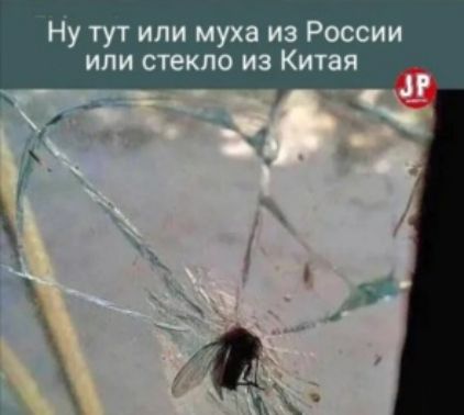 Ну тут или муха из России или стекло из Китая