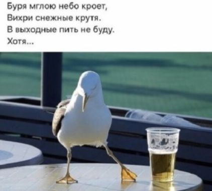 Буря мглою ебс косе Биши снежные круп в выходные пичь не буду Хотя