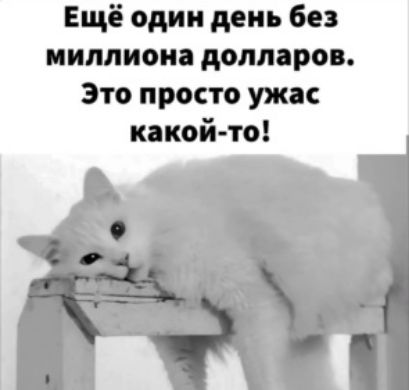 Ещё один день без миллион долларов Это просто ужас какой то