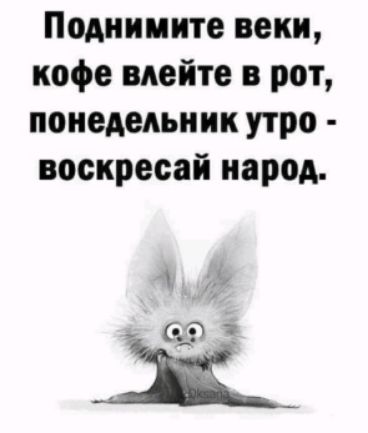 Поднимите веки кофе влейте в рот понедельник утро воскресай народ 69